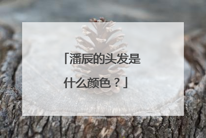 潘辰的头发是什么颜色?