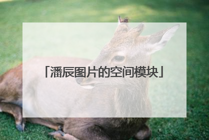 潘辰图片的空间模块