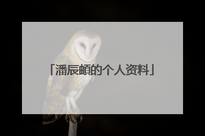 潘辰頔的个人资料