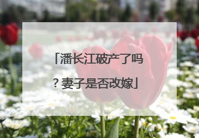潘长江破产了吗?妻子是否改嫁