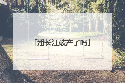 潘长江破产了吗