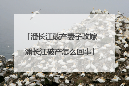 潘长江破产妻子改嫁 潘长江破产怎么回事