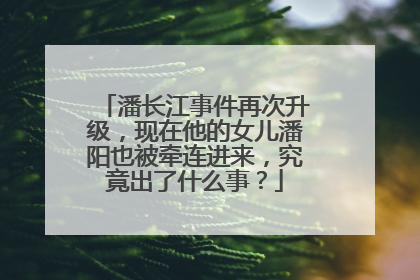 潘长江事件再次升级,现在他的女儿潘阳也被牵连进来,究竟出了什么事?