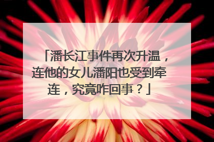潘长江事件再次升温，连他的女儿潘阳也受到牵连，究竟咋回事？