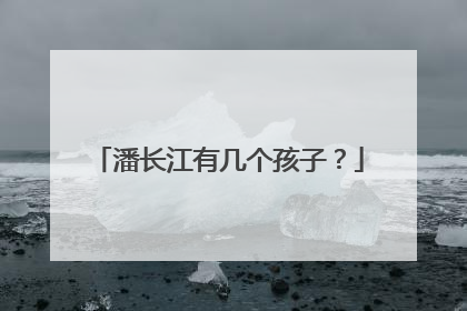 潘长江有几个孩子?