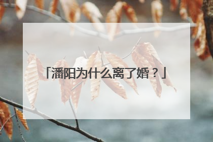 潘阳为什么离了婚?