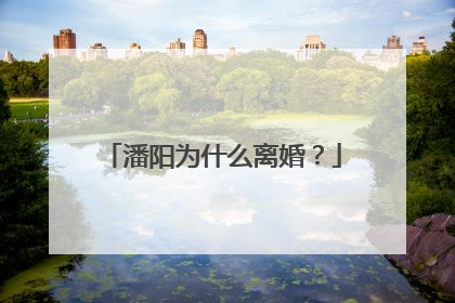 潘阳为什么离婚?