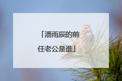 潘雨辰的前任老公是谁