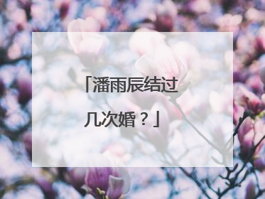 潘雨辰结过几次婚？