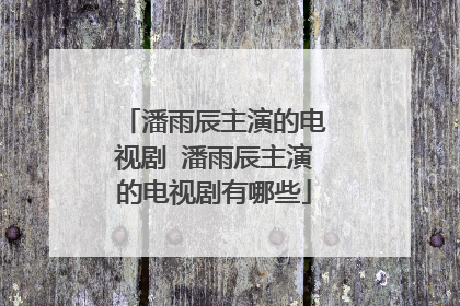 潘雨辰主演的电视剧 潘雨辰主演的电视剧有哪些