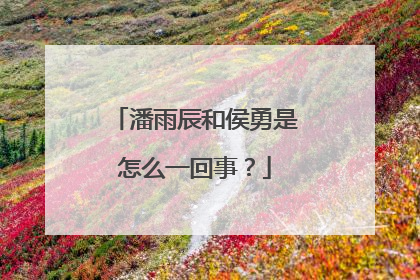 潘雨辰和侯勇是怎么一回事？