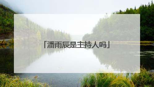 潘雨辰是主持人吗