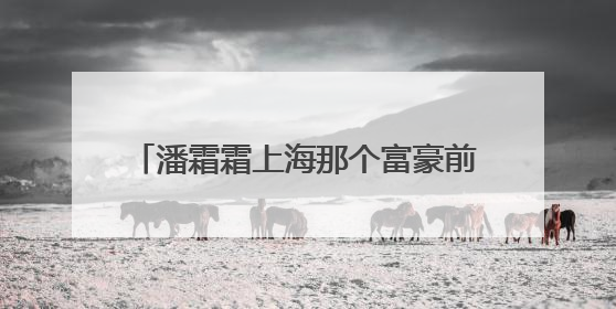 潘霜霜上海那个富豪前男友微愽叫什麼金?