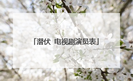 潜伏 电视剧演员表