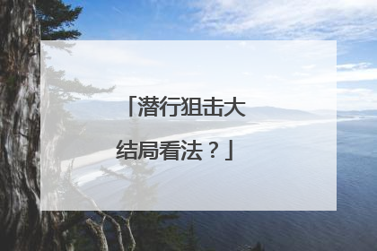 潜行狙击大结局看法？