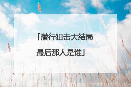 潜行狙击大结局最后那人是谁