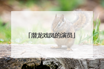 潜龙戏凤的演员