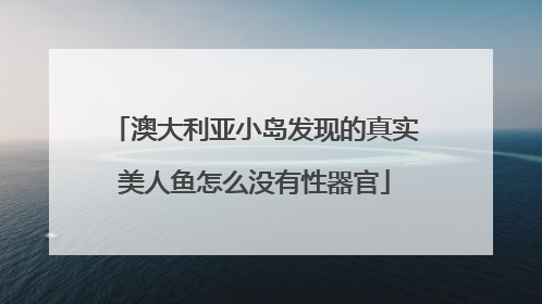 澳大利亚小岛发现的真实美人鱼怎么没有性器官