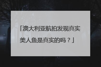 澳大利亚航拍发现真实美人鱼是真实的吗？