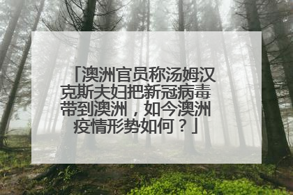 澳洲官员称汤姆汉克斯夫妇把新冠病毒带到澳洲,如今澳洲疫情形势如何?