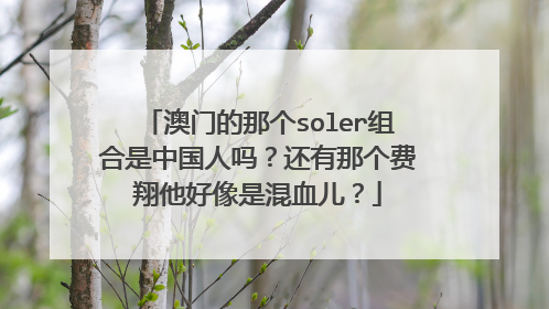 澳门的那个soler组合是中国人吗？还有那个费翔他好像是混血儿？