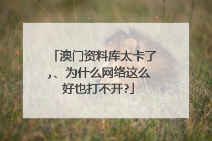 澳门资料库太卡了,、为什么网络这么好也打不开?