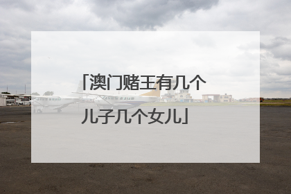 澳门赌王有几个儿子几个女儿