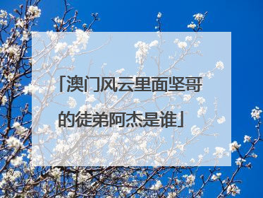 澳门风云里面坚哥的徒弟阿杰是谁