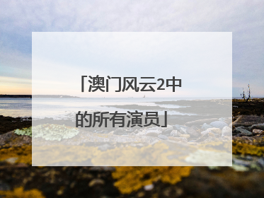 澳门风云2中的所有演员