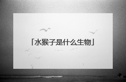 水猴子是什么生物