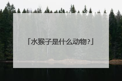 水猴子是什么动物?