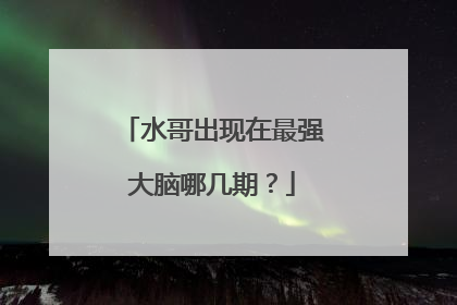 水哥出现在最强大脑哪几期?