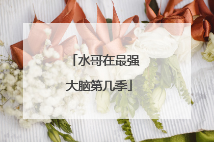 水哥在最强大脑第几季