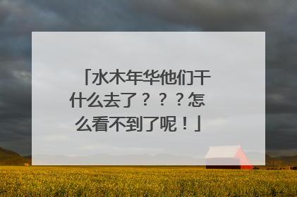 水木年华他们干什么去了？？？怎么看不到了呢！