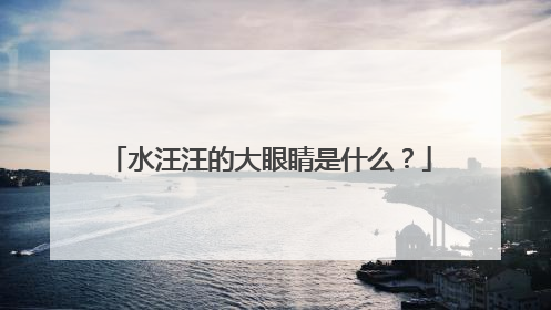 水汪汪的大眼睛是什么?