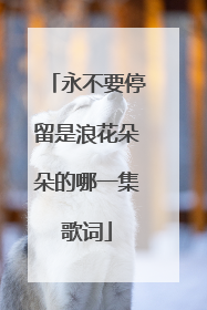 永不要停留是浪花朵朵的哪一集歌词