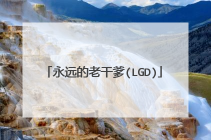 永远的老干爹(LGD)
