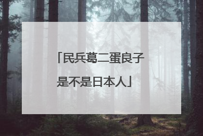 民兵葛二蛋良子是不是日本人