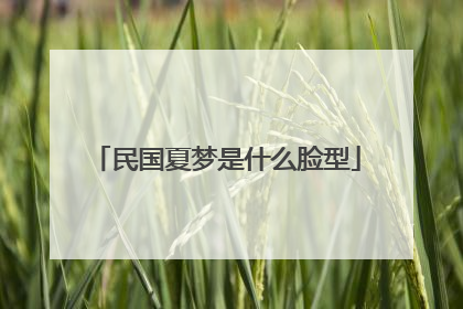 民国夏梦是什么脸型