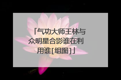 气功大师王林与众明星合影谁在利用谁[组图]