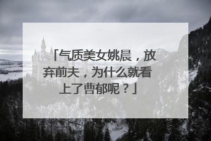 气质美女姚晨,放弃前夫,为什么就看上了曹郁呢?