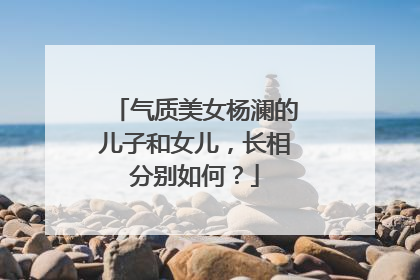 气质美女杨澜的儿子和女儿，长相分别如何？