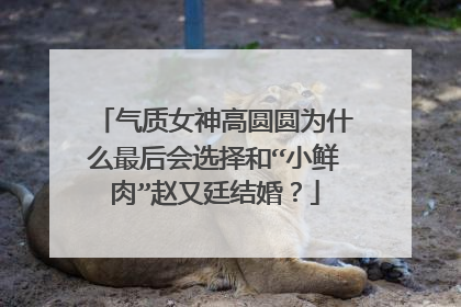 气质女神高圆圆为什么最后会选择和“小鲜肉”赵又廷结婚？