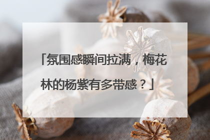氛围感瞬间拉满，梅花林的杨紫有多带感？