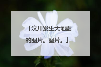 汶川发生大地震的图片。图片。