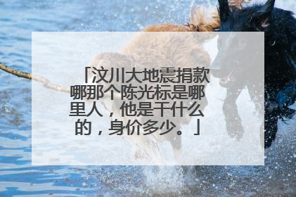 汶川大地震捐款哪那个陈光标是哪里人,他是干什么的,身价多少。