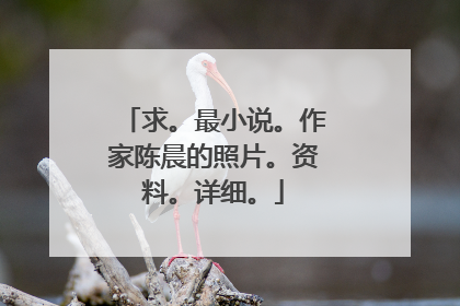 求。最小说。作家陈晨的照片。资料。详细。