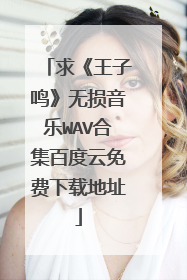 求《王子鸣》无损音乐WAV合集百度云免费下载地址