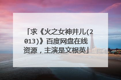求《火之女神井儿(2013)》百度网盘在线资源，主演是文根英