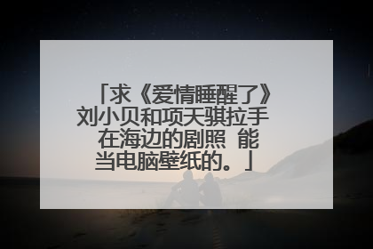 求《爱情睡醒了》刘小贝和项天骐拉手 在海边的剧照 能当电脑壁纸的。